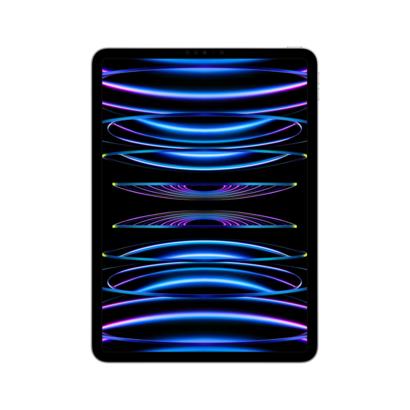 Apple iPad Pro 11" (2022) wifi 2TB zilver