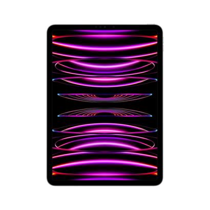 Apple iPad Pro 11" (2022) wifi 2TB spacegrijs