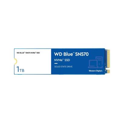 WD Blue SN570 NVMe 1TB SSD M.2 2280 WDS100T3B0C
