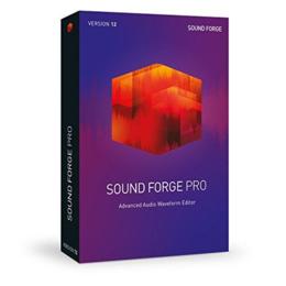 Magix Sound Forge Pro 12