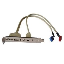 2x USB 2.0 en 1x Firewire 6-pins bracket