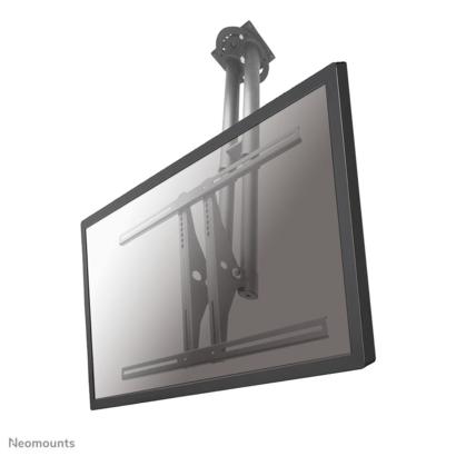 Newstar PLASMA-C100 monitor plafondbeugel tot 75"