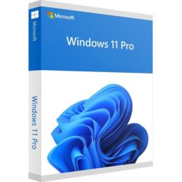 Microsoft Windows 11 Pro UK & NL 64bit oem