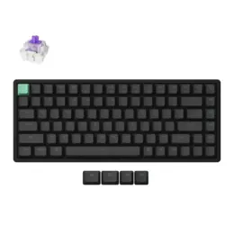 Keychron K2 HE Gaming toetsenbord Nebula switch zwart