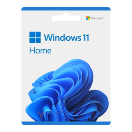 Microsoft Windows 11 Home NL & UK 64bit oem (Key only)