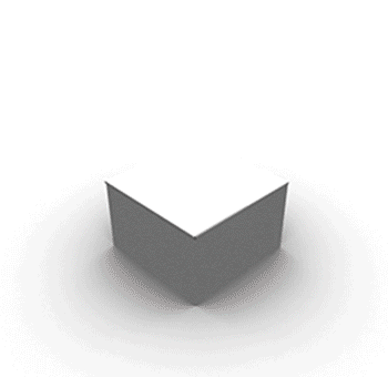 Limited Edition Anniversary Mystery Box! T.w.v. 250,-