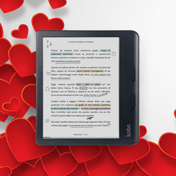 valentijncadeautip ereader