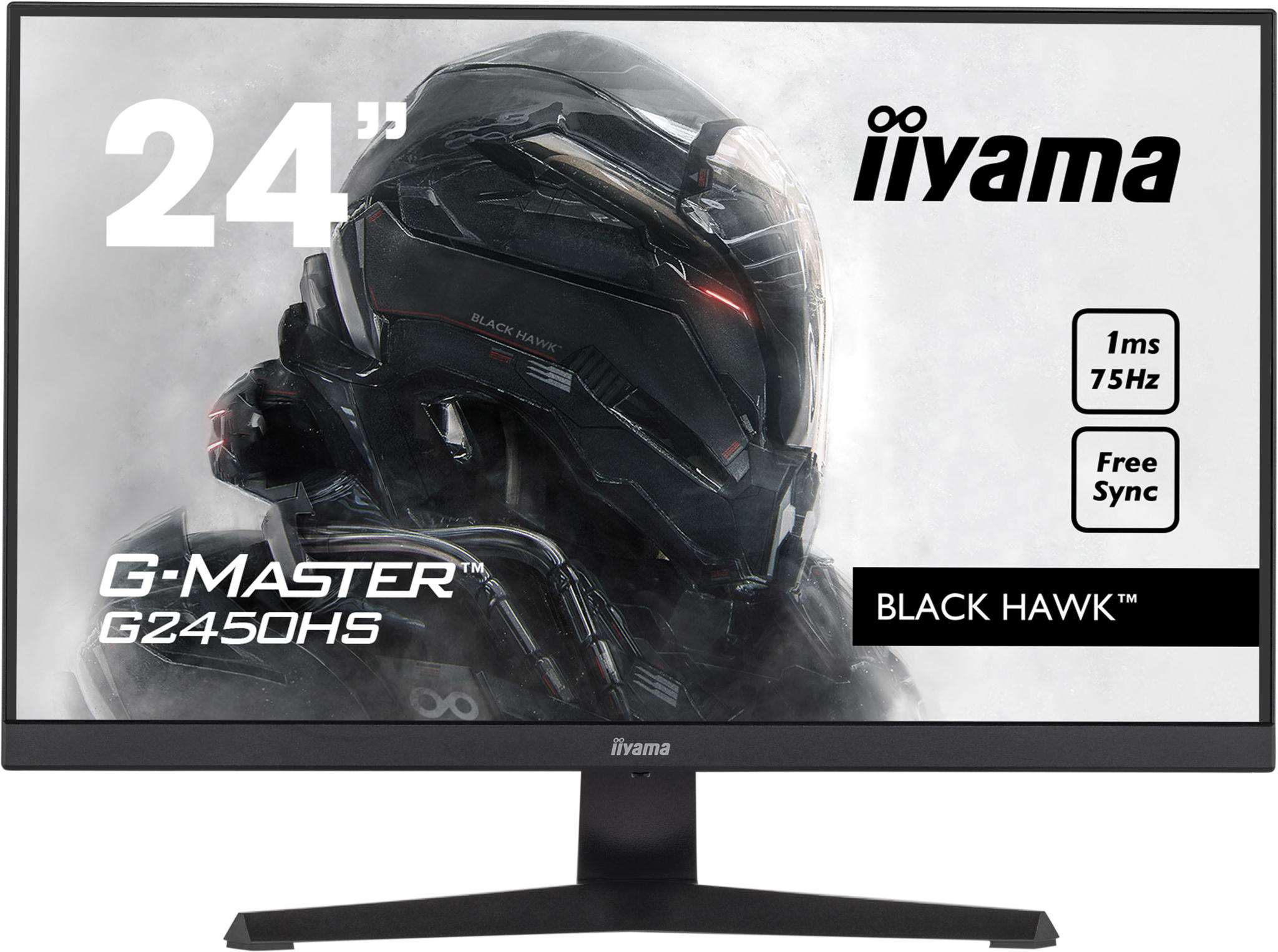 Iiyama G-Master G2450HS-B1 monitor afbeelding
