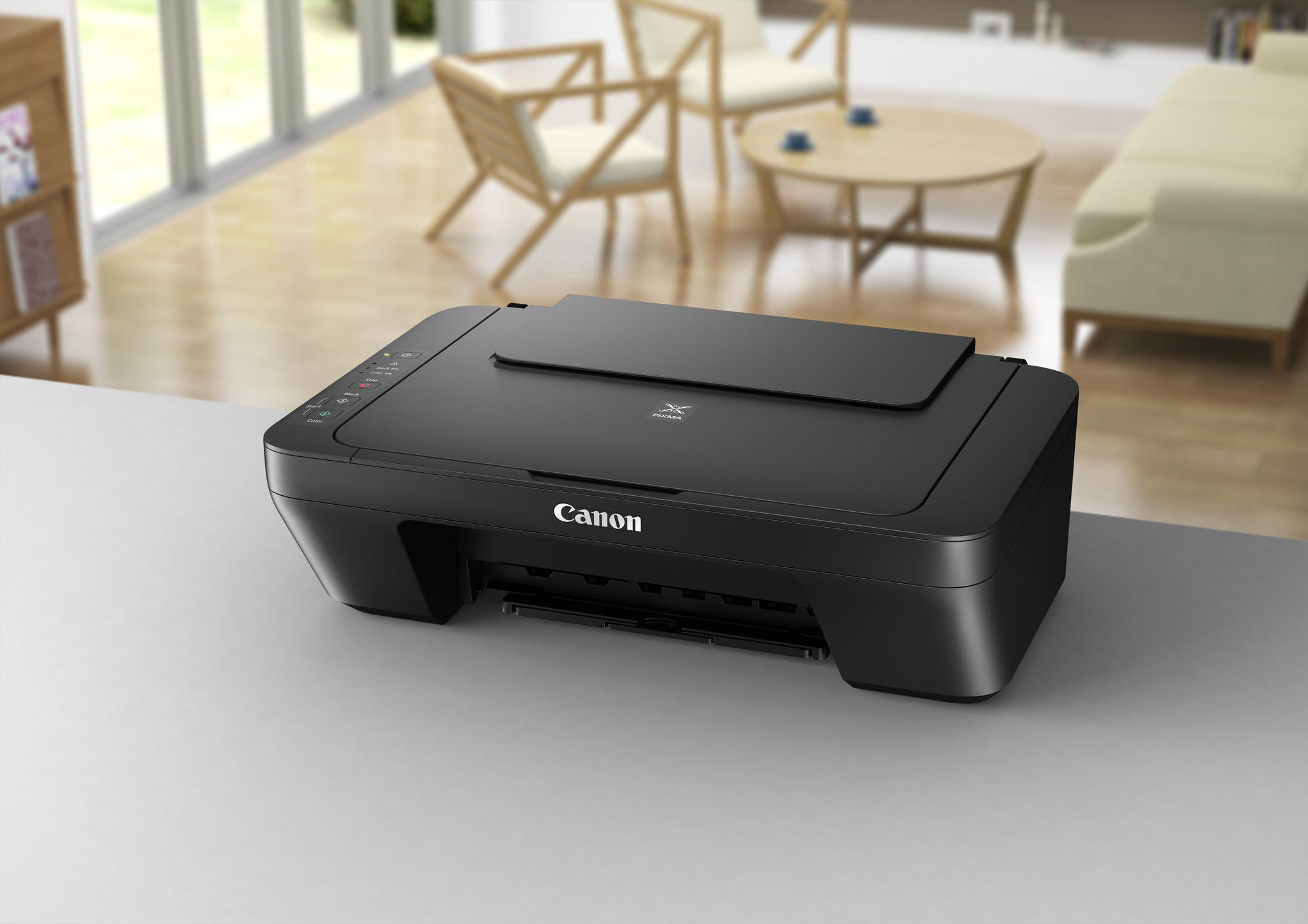 Canon Pixma MG2550S printer 0727C006