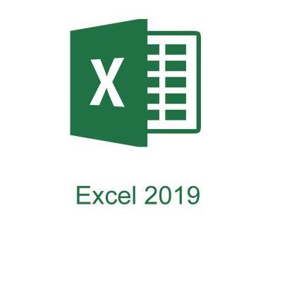 Microsoft Excel 2019 open NL license
