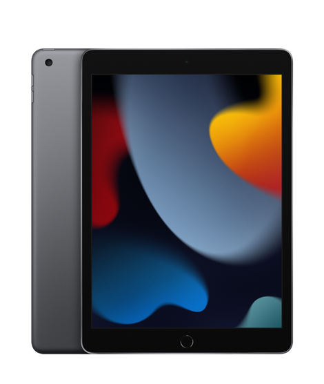Apple 10.2-inch iPad 256GB Wi-Fi 2021 (Grijs)