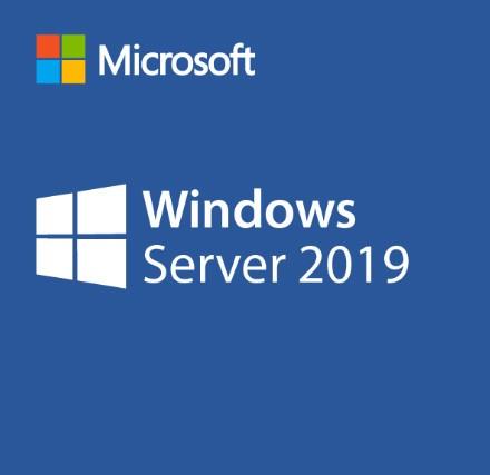 Microsoft Server Std 2019 24 Core NL 1pk