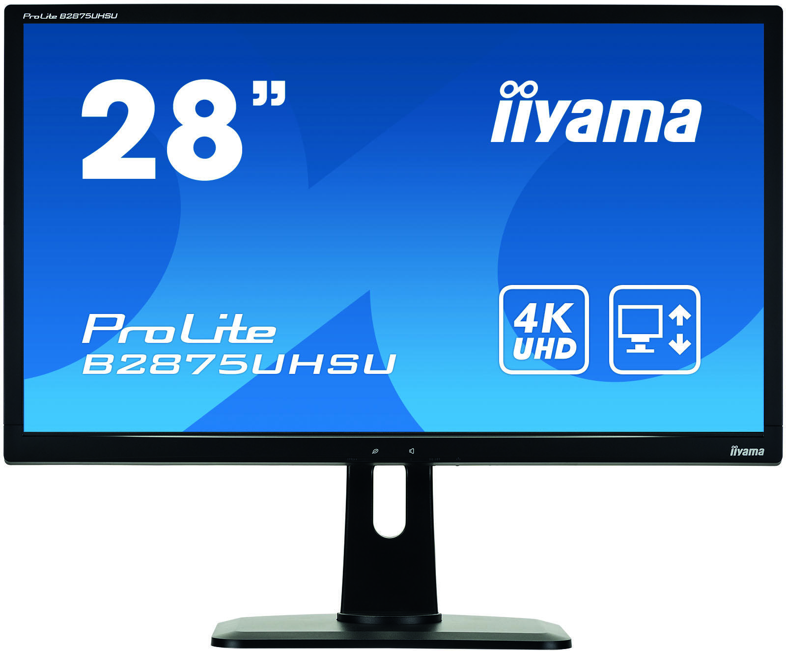 Iiyama ProLite B2875UHSU-B1 monitor